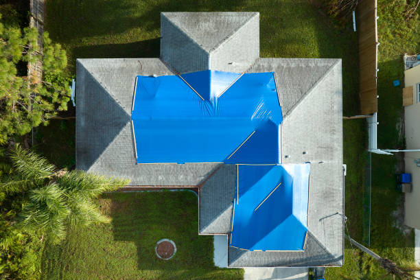 Best Emergency Roof Repair Services  in Sumner, IL