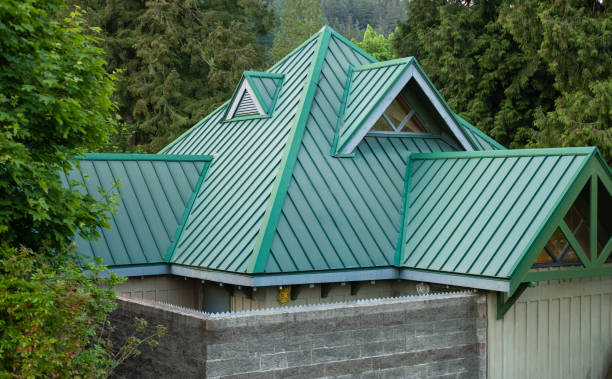 Best Chimney Flashing Repair  in Sumner, IL