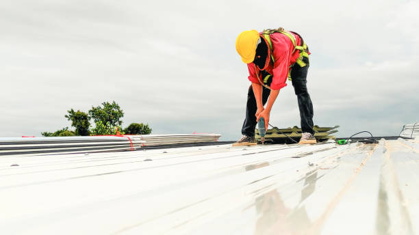Best Roof Coating and Sealing  in Sumner, IL